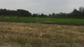 Land for sale in Tan Diao, Saraburi