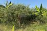1 Bedroom Land for sale in Tha It, Nonthaburi