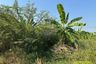 1 Bedroom Land for sale in Tha It, Nonthaburi