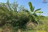 1 Bedroom Land for sale in Tha It, Nonthaburi