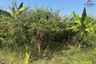 1 Bedroom Land for sale in Tha It, Nonthaburi
