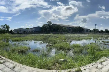 Land for sale in Hom Kret, Nakhon Pathom