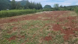 Land for sale in Sam Roi Yot, Prachuap Khiri Khan