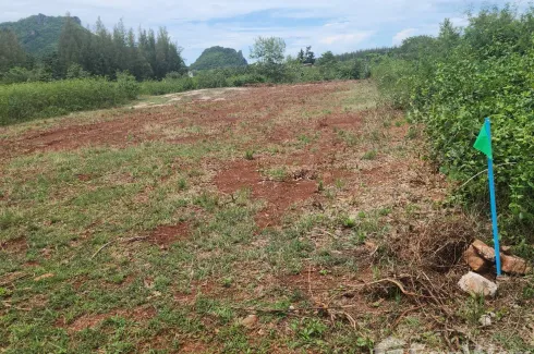 Land for sale in Sam Roi Yot, Prachuap Khiri Khan