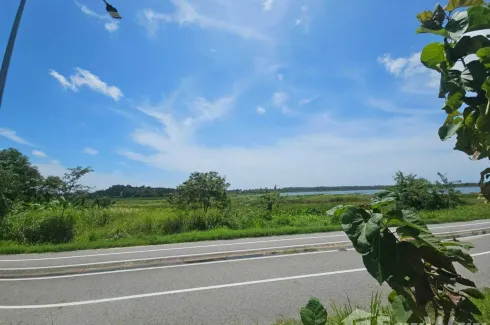 Land for sale in Pong, Chonburi