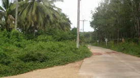 Land for sale in Ko Yao Noi, Phang Nga