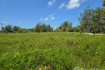 Land for sale in Bang Sai, Phang Nga