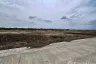 Land for sale in Pinthongland Factory Village, Lahan, Nonthaburi