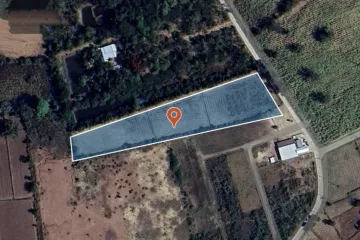 Land for sale in Chakkarat, Nakhon Ratchasima