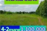 Land for sale in Chakkarat, Nakhon Ratchasima