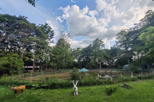 Land for sale in Nong Khwai, Chiang Mai