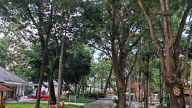 Land for sale in Nong Khwai, Chiang Mai