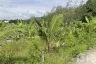 Land for sale in Si Sunthon, Phuket
