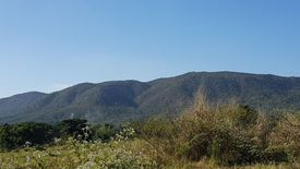 Land for sale in On Klang, Chiang Mai