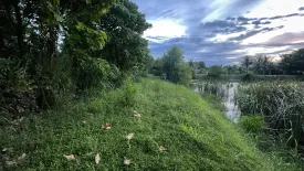 Land for sale in Takhian Tia, Chonburi