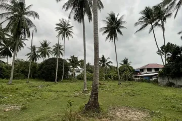 Land for sale in Maret, Surat Thani
