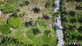 Land for sale in Maret, Surat Thani