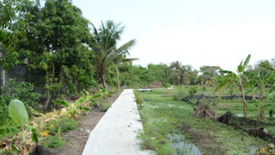 Land for sale in Suan Luang, Bangkok