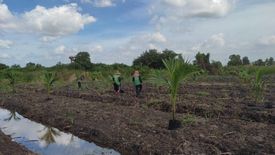 Land for sale in Bang Bo, Samut Prakan