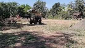 Land for sale in Chakkarat, Nakhon Ratchasima