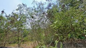 Land for sale in Rawai, Phuket