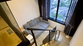1 Bedroom Condo for rent in Siamese Sukhumvit 87, Bang Chak, Bangkok near BTS On Nut