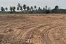 Land for sale in Pong, Chonburi