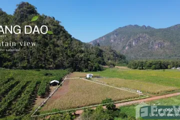 Land for sale in Ping Khong, Chiang Mai