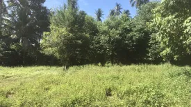 Land for sale in Mae Nam, Surat Thani