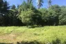 Land for sale in Mae Nam, Surat Thani