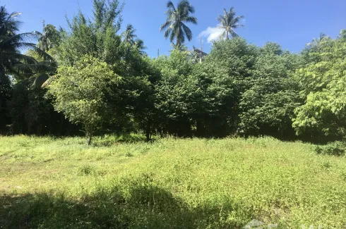 Land for sale in Mae Nam, Surat Thani