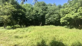 Land for sale in Mae Nam, Surat Thani