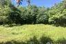 Land for sale in Mae Nam, Surat Thani