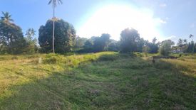 Land for sale in Taling Ngam, Surat Thani