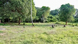 Land for sale in Taling Ngam, Surat Thani