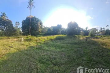 Land for sale in Na Mueang, Surat Thani