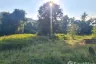 Land for sale in Na Mueang, Surat Thani