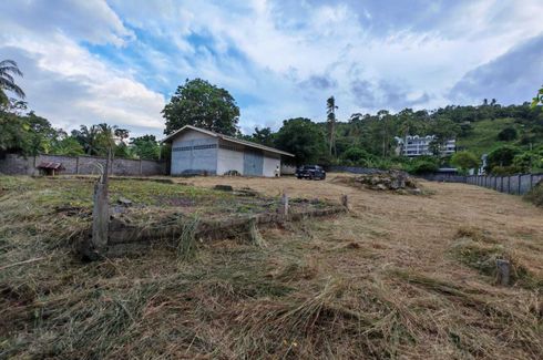 Land for sale in Mae Nam, Surat Thani