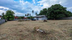 Land for sale in Mae Nam, Surat Thani