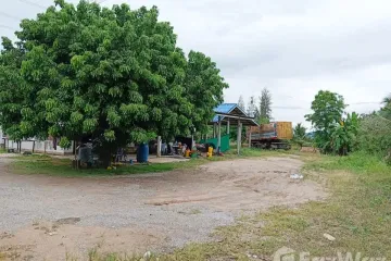 Land for sale in Nong Phai Kaeo, Chonburi