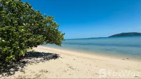 Land for sale in Lipa Noi, Surat Thani