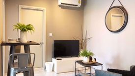 1 Bedroom Condo for Sale or Rent in Life Sukhumvit 48, Phra Khanong, Bangkok near BTS Phra Khanong