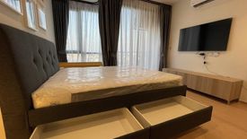 1 Bedroom Condo for rent in MARU Ekkamai 2, Phra Khanong Nuea, Bangkok near BTS Ekkamai