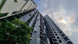 Condo for sale in The Tree Pattanakarn - Ekkamai, Suan Luang, Bangkok near Airport Rail Link Ramkhamhaeng