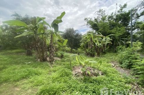 Land for sale in Mae Pong, Chiang Mai