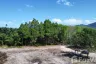 Land for sale in Khok Kloi, Phang Nga