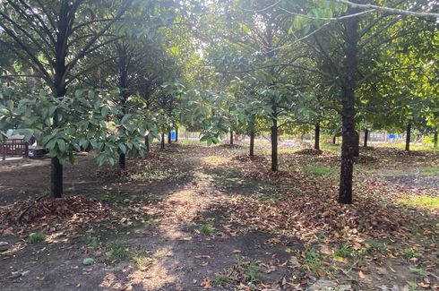 Land for sale in Wan Yao, Chanthaburi