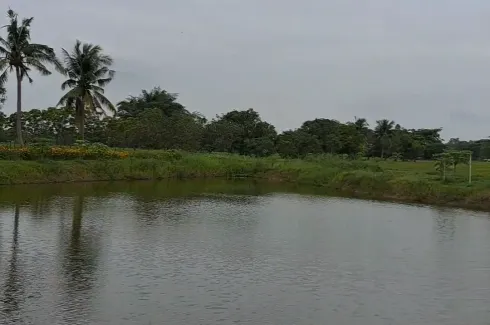 Land for sale in Mueang Kao, Saraburi