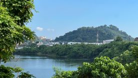 Commercial for sale in Ratsada, Phuket