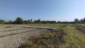 Land for sale in Mae Sun, Chiang Mai